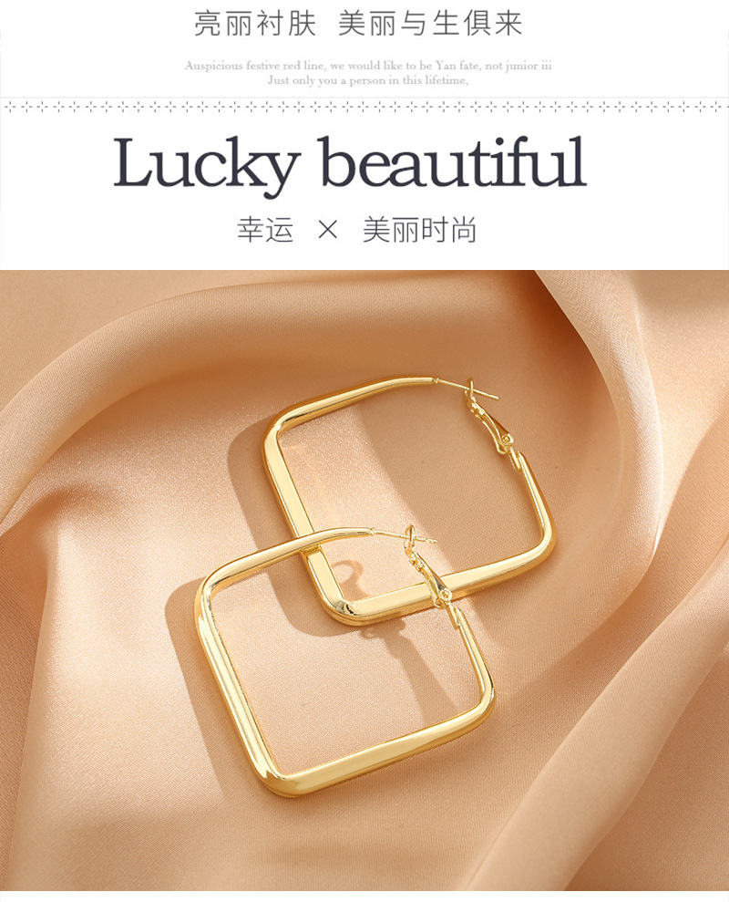 S925 Silver needle European and American style fashionable earrings, simple and elegant, niche and individual, high-end sense, stud earrings for women wholesale pic 21