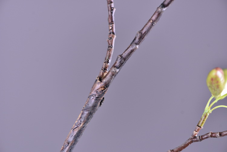 Original factory goods, artificial fruit branches, home dining tables, wedding model rooms, floor-standing decorations, artificial flowers, artificial sky lanterns pic 8