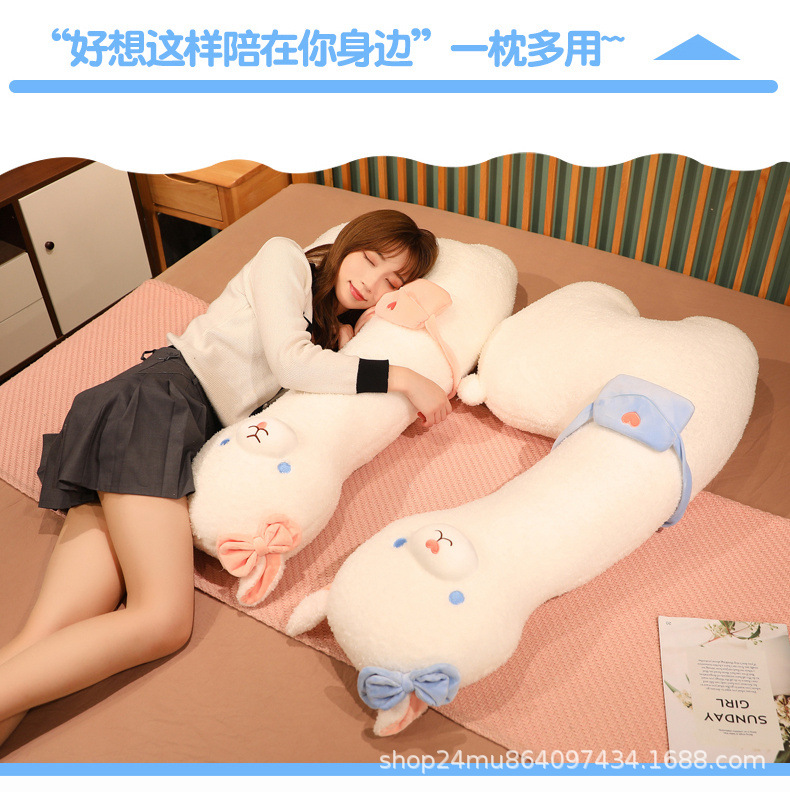 羊驼