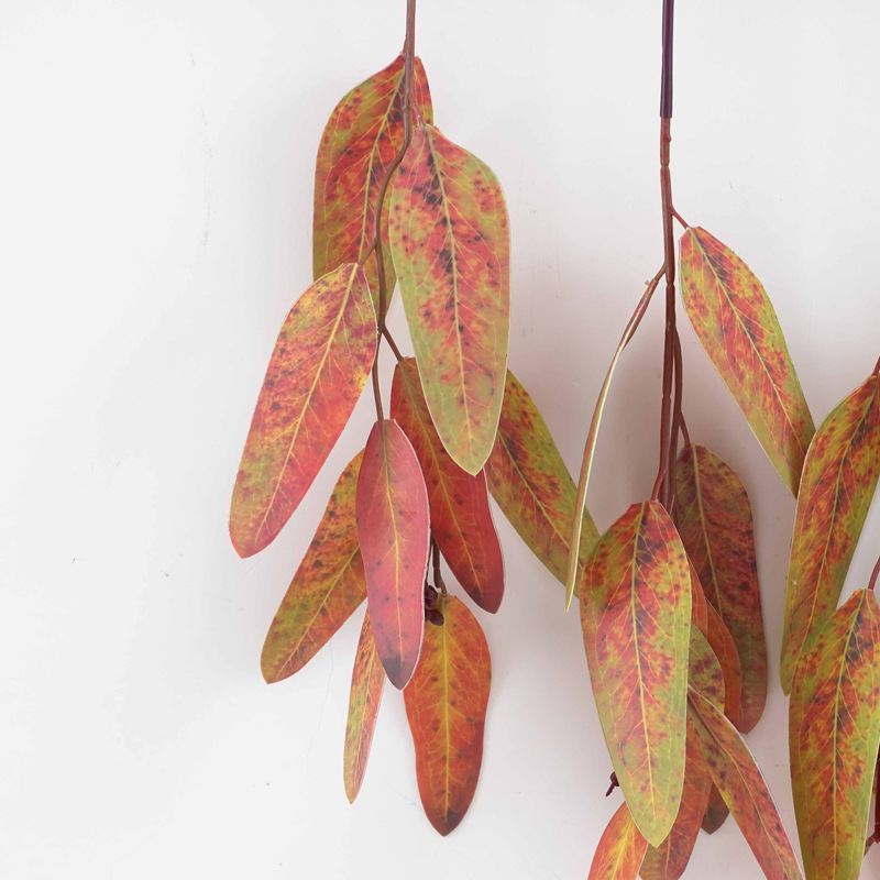 Nordic-style 3D window home decoration, eucalyptus grass, money leaves, eucalyptus leaves, wall hanging simulation plants pic 15