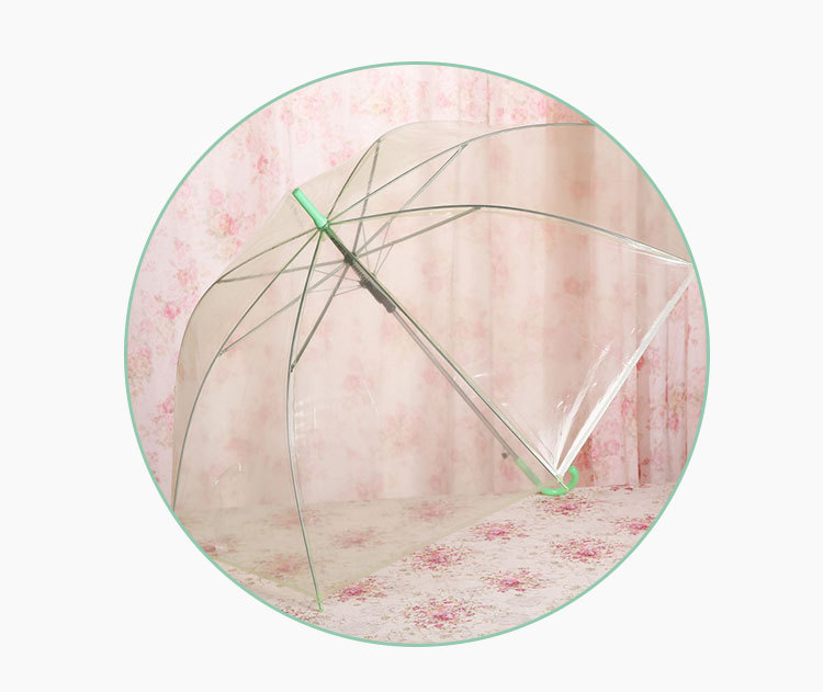 Wholesale of colorful transparent umbrellas, eco-friendly umbrellas, automatic long-handled gift umbrellas, advertising umbrellas, ten-yuan store supply pic 7