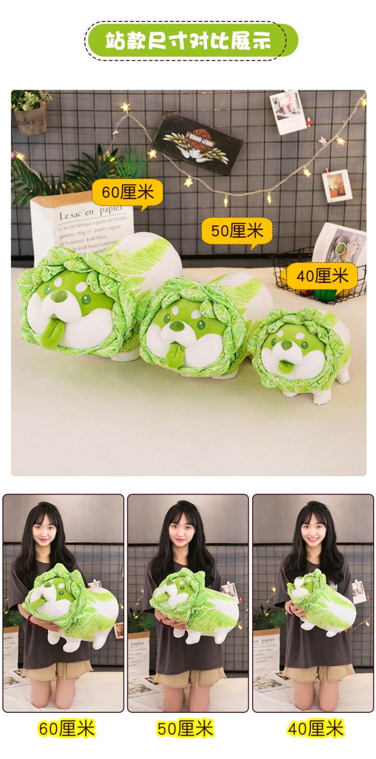 Wholesale of creative cartoon vegetable dog dolls, cabbage dog cushions and plush toys of the same style as those on Xiaohongshu pic 7