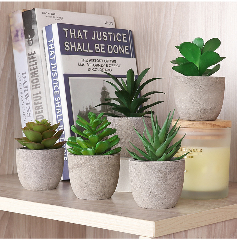 Amazon set of simulation succulent three-piece set with PVC box home decoration simulation plant potted plant gift pic 44