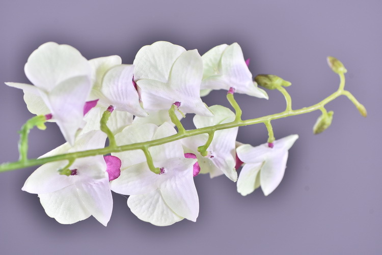 Factory direct sales of high-end artificial dendrobium, wholesale of artificial flowers with leaves, home decoration of Phalaenopsis and Lanjin artificial plants pic 14