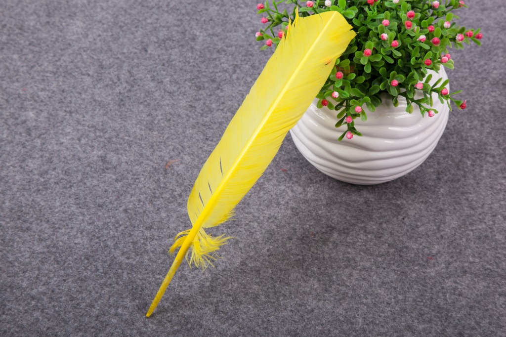 Factory wholesale DIY colorful Turkey feathers, Indian Anren heads with Turkey nest feathers, Japanese feather arrows in stock pic 26