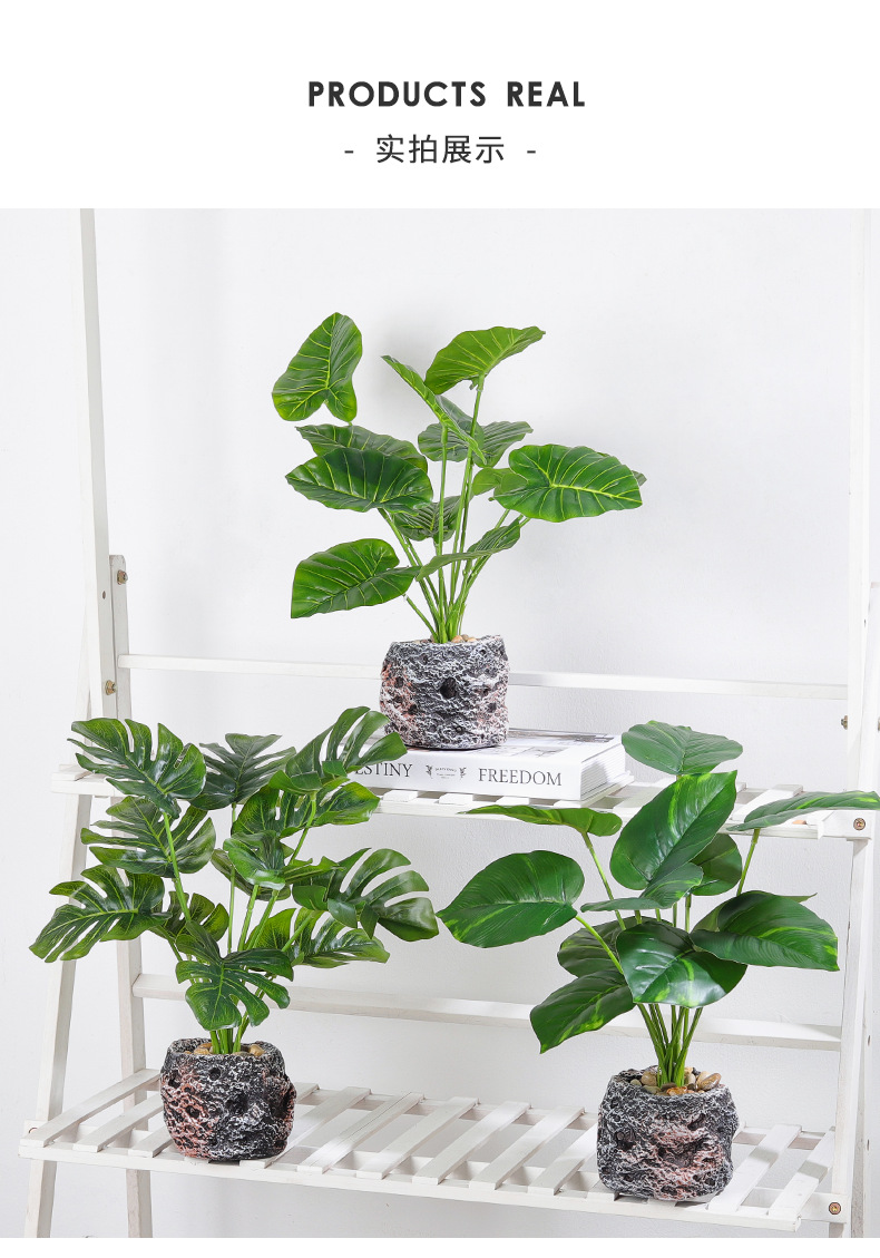 Nordic InS-style simulated pothos and turtle-back leaf potted plants, living room desktop simulated green plant potted plants, home decoration ornaments simulated potted plants pic 8