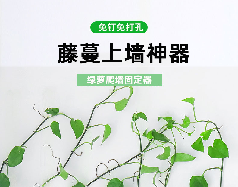 藤蔓绿植无痕攀爬免钉贴墙上神器理线夹自粘式挂钩绿萝爬墙固定器详情1