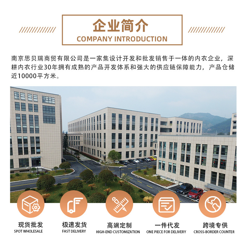 3352无钢圈轻奢感薄杯美背深V聚拢性感无痕提拉网纱简约内衣详情1