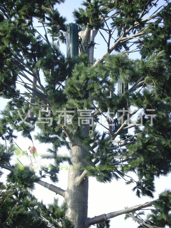 Artificial pine branches, artificial pine branches, signal towers, Christmas trees, artificial tree branches, decorative vines, Yiwu manufacturers pic 18