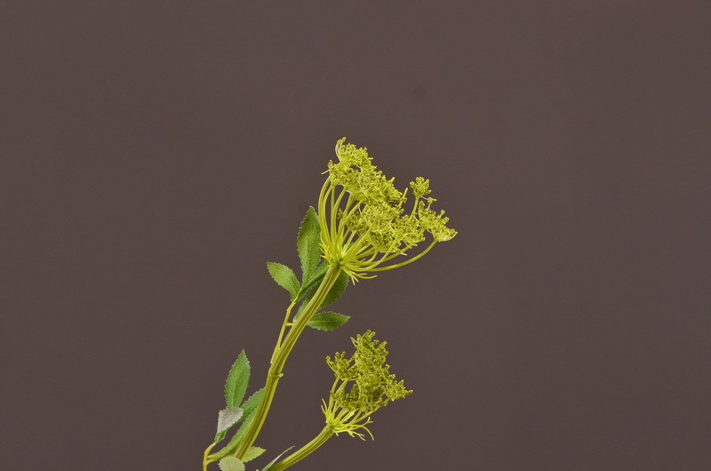 Wholesale of artificial lace and artificial green plants from the original factory, flower arrangement materials, and artificial plants for home, hotel, wedding and decoration pic 16