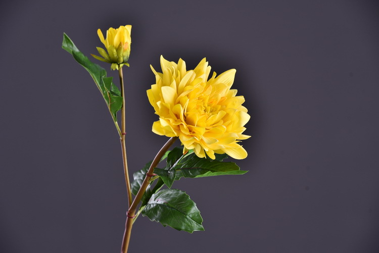 Factory direct sales of high-end artificial dahlia with realistic touch, wholesale of high-end artificial dahlia for home decoration, shopping malls and hotels pic 5