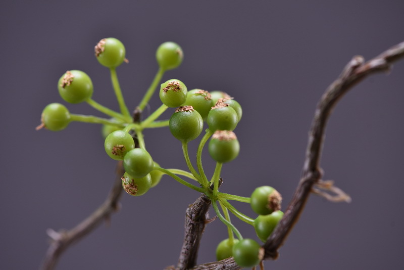 Lanjin Artificial Fruit Factory Direct Sales, wholesale of artificial berries, artificial green vine fruits, Chinese modern and simple decoration, winter green fruits, and mountain prosperity fruits pic 17