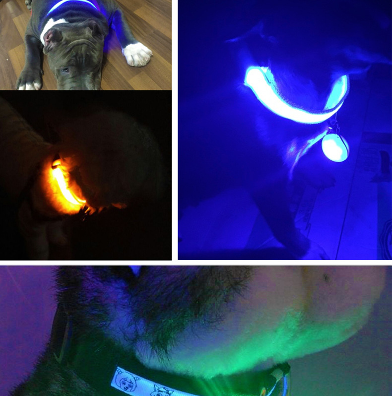 宠物LED发光吊坠狗狗挂牌夜光防丢失灯大中小型犬狗闪光项圈吊坠详情9