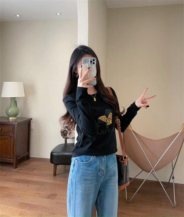 Playful and youthful embroidered printed puppy loose straight top straight-shoulder round-neck long-sleeved T-shirt for women 2025 early Spring G021418 pic 28