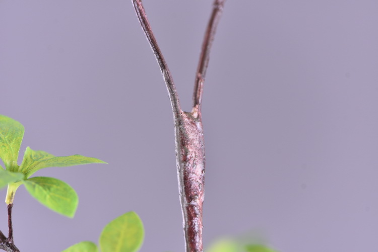 Home decoration simulation Japanese hanging bell branches, home decoration floor-standing flower figures, artificial green plant simulation leaves pic 22