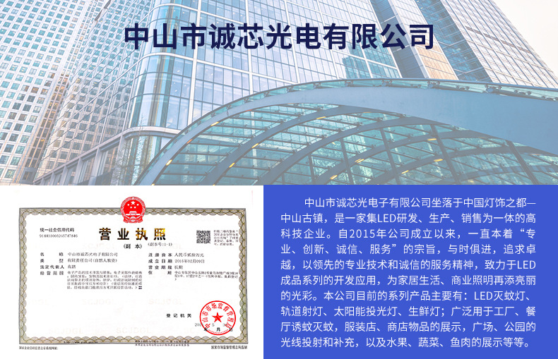 Amazon Cross-border 110V commercial mosquito-killing lamp wonder led electric shock outdoor household mosquito attraction, mosquito repellent and fly-killing lamp pic 50