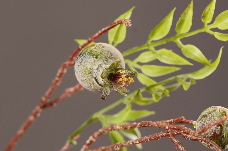 Wholesale of artificial pomegranate and wabi-sabi style Chinese hotel, home and restaurant decoration artificial flowers and artificial berries from the manufacturer pic 5