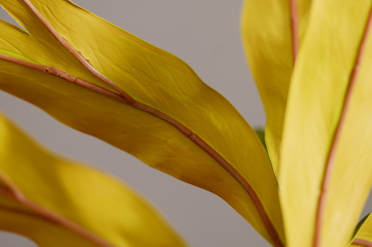 Dongli Flower Industry offers wholesale of artificial double-sided leaves, antler leaves, silver birch leaves, green plants, artificial green plants, indoor living room soft decoration, flower arrangement and matching materials pic 11