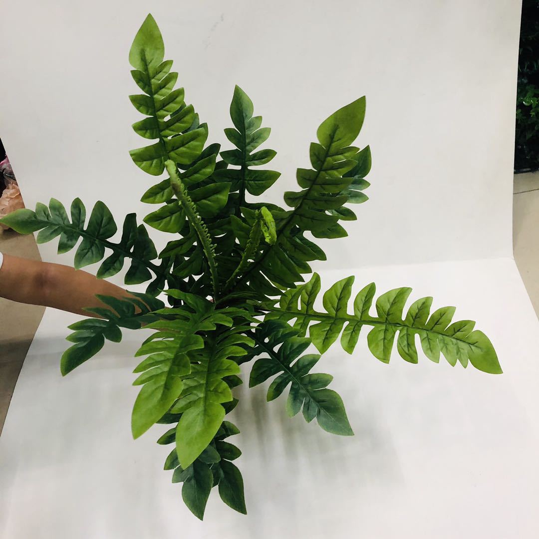 Artificial fern grass, Persian grass green, leaf green grass, row grass, artificial green plants, artificial plants, plant wall accessories, artificial grass, artificial flowers, artificial lawns, artificial trees, artificial vines, artificial flowers, artificial green pic 12