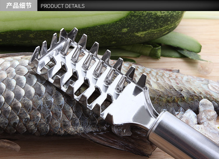 Kitchen small tools: stainless steel fish scale planer, stainless steel fish killing brush, fish scale scraper, descaling knife, brush pic 3