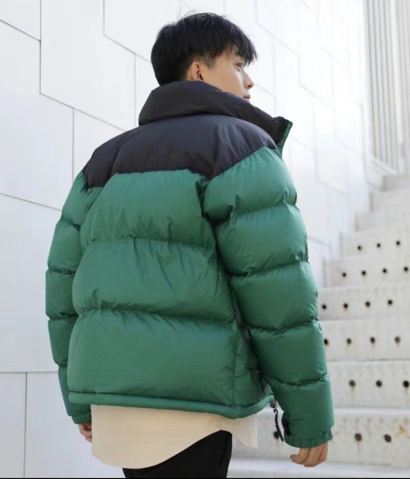 现货北脸面TNF1996羽绒服350克90绒芯片美版700刺绣男女款外套潮详情15