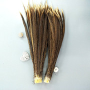 厂家批发珍珠鸡毛彩色羽毛 服装DIY手工工艺品饰品耳环材料野鸡毛详情8