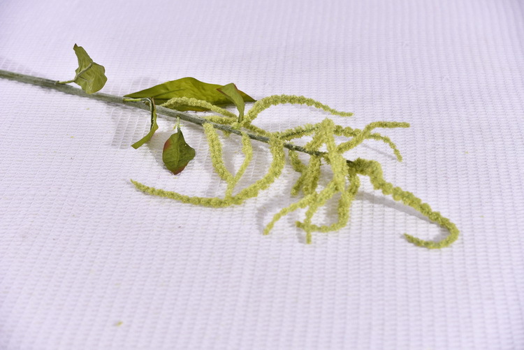 Dongli Yiwu Source Quality Products, high-end artificial flowers, hanging chicken tail tassels wholesale, artificial reeds, artificial flowers, artificial green plants, mouse tail model house home decorations pic 10