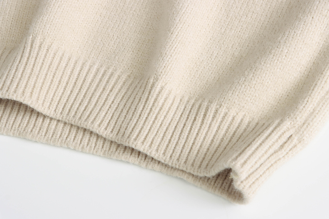 3th Morning North Island Park Korean Style Youthful Dog Embroidered Round Neck Pullover Sweater ZY2381 pic 84