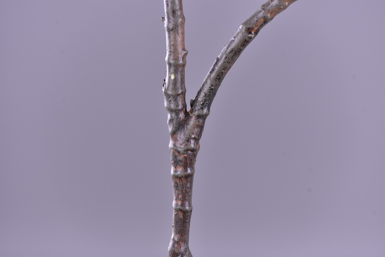 Factory wholesale of high-end artificial flowers, artificial purple rosewood flowers, soft decoration floral art for hotel and homestay model rooms, and artificial locust flowers pic 27