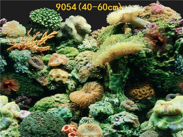Wholesale export of 50cm high background painting, single-sided thin painting, 3D stereoscopic ecological aquarium sticker paper pic 64