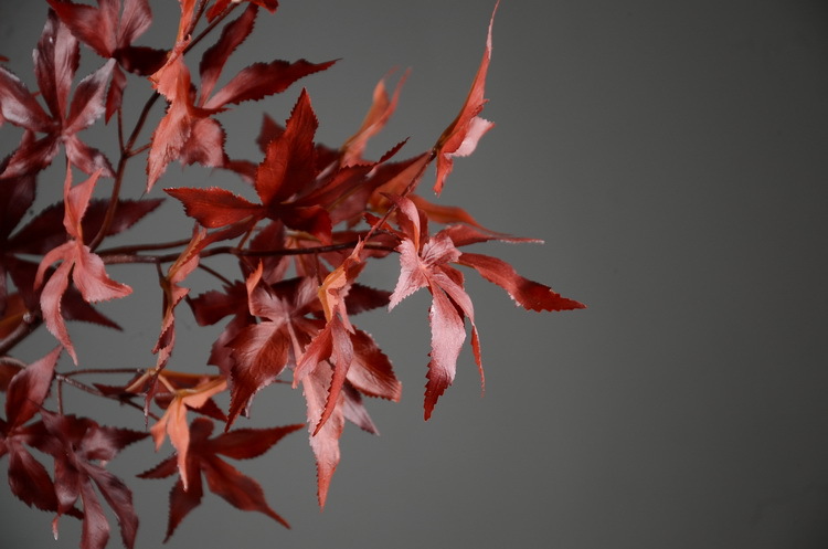 Factory wholesale of artificial flowers, direct sales from the manufacturer, wholesale of artificial green plants, home decoration flowers, red artificial leaves, artificial maple leaves pic 4