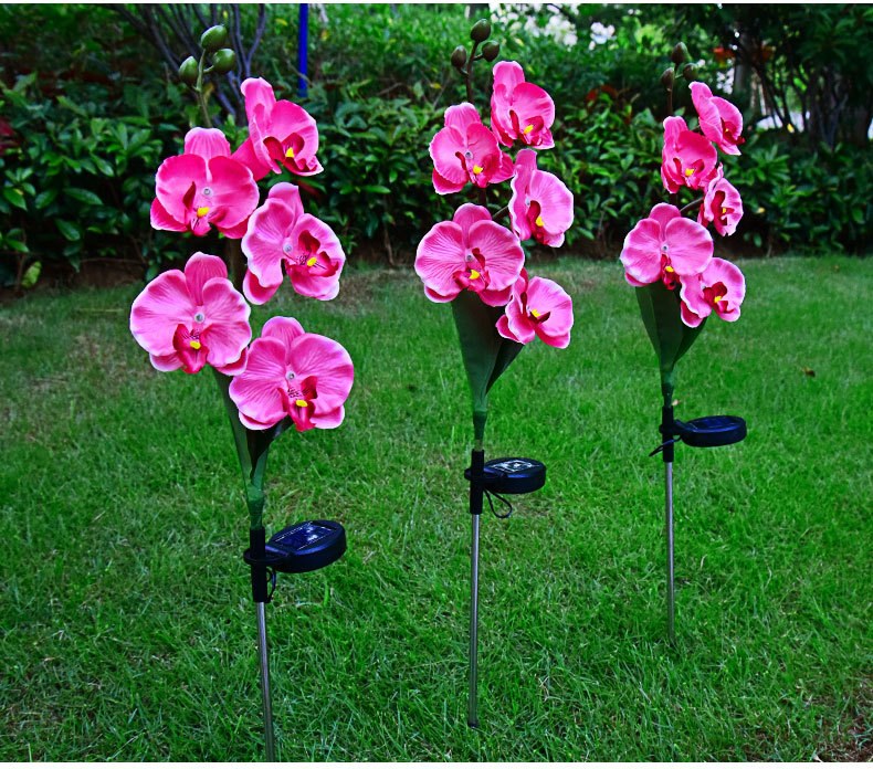 Cross-border solar lamps, simulated flower Phalaenopsis, ground insert lamps, outdoor courtyard lamps, landscape, festival and garden decorations pic 23