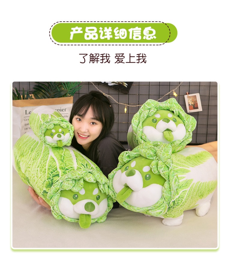 Wholesale of creative cartoon vegetable dog dolls, cabbage dog cushions and plush toys of the same style as those on Xiaohongshu pic 5