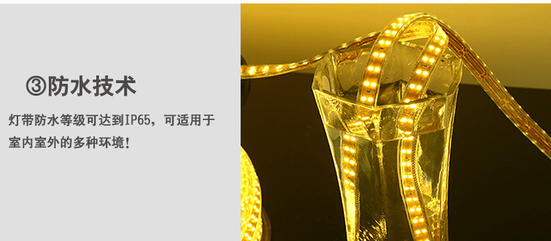 光子照明5050线性灯条5730 rgb柔性亮化贴片led 220v防水高压灯带详情78