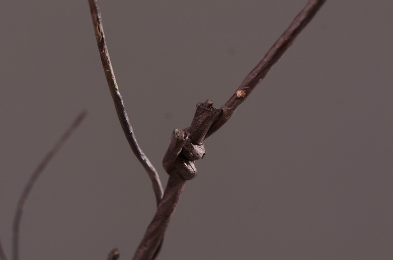 Flower Knowledge, simulating spring rain leaves, New Chinese-style Zen-inspired soft furnishings, flower leaf materials, simulating touch, autumn leaves, home decorations, floral art pic 16