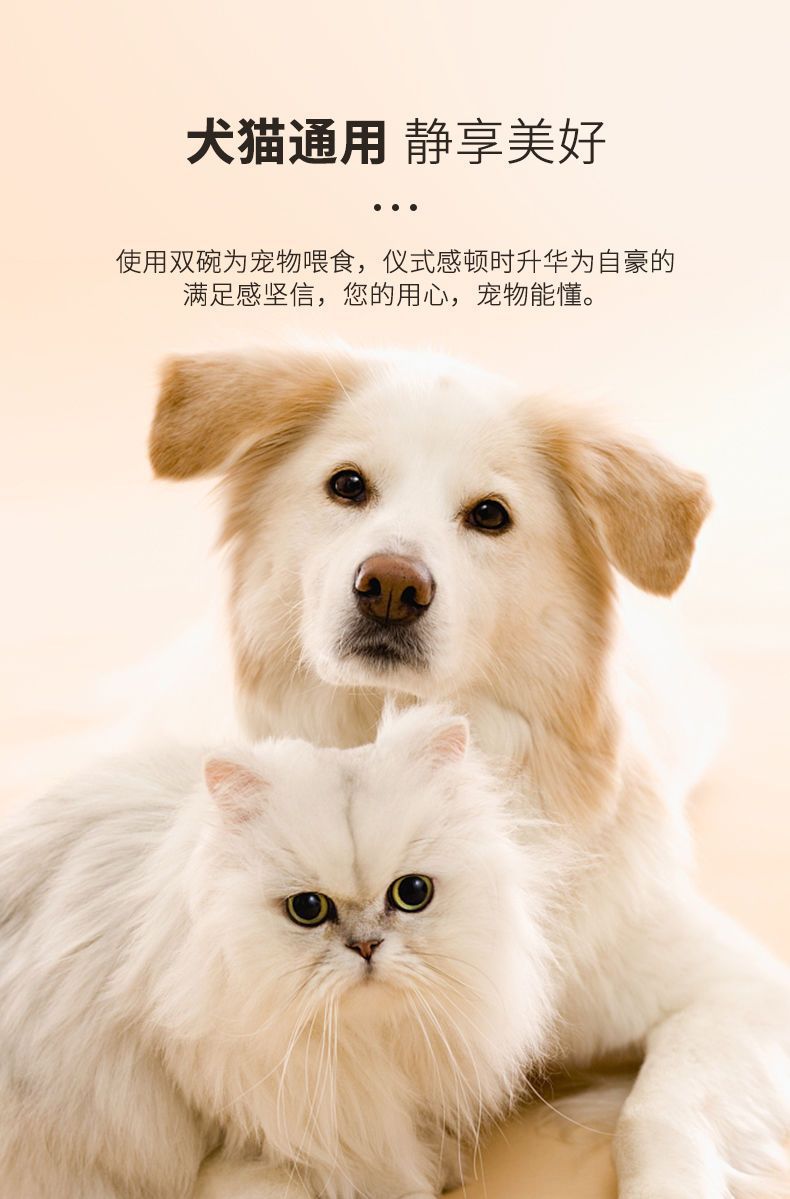 Tazón de alimentación para mascotas bebedero de alimentación de doble uso tazón de gato de recarga automática multifuncional protector de cuello tazón para perros lavabo para perros comida para mascotas pic 8
