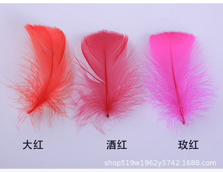 厂家直销优质天鹅毛 DIY彩色小飘羽毛 舞台服饰装饰辅料羽毛批发详情14