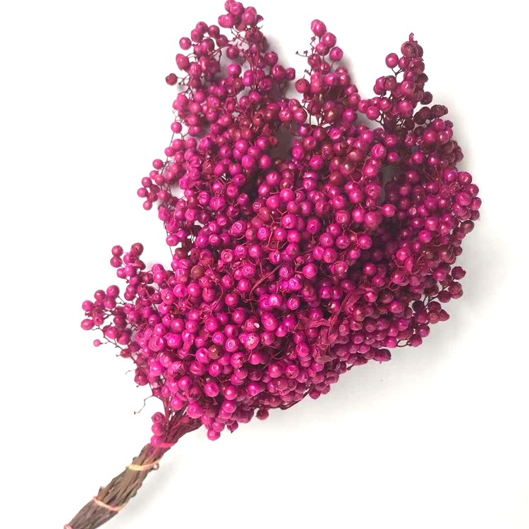 Eternal flower dried flower handicrafts with grass floating bottles, special berries, pepper and tofu pudding shop soft decoration pic 8