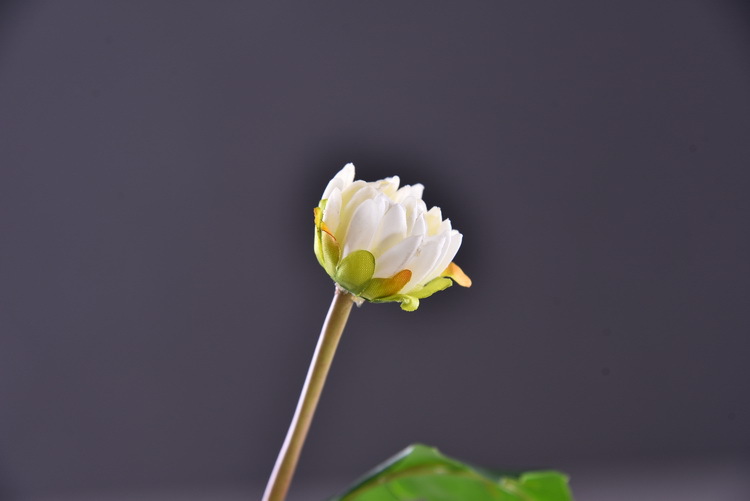 Huazhi Artificial Flower Xiaoli Flower, high-end artificial Xiaoli Chrysanthemum, Home wedding model room decoration Artificial Flower Xiaoli Flower pic 5