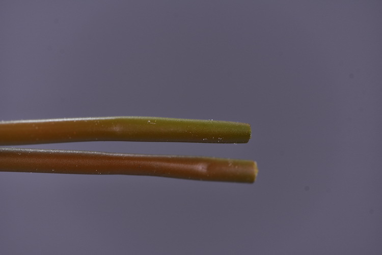 Wholesale manufacturer of artificial water lilies, direct sales of artificial flowers for wedding, home, hotel and homestay soft furnishings, artificial flowers, and photography props pic 21