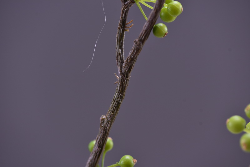 Lanjin Artificial Fruit Factory Direct Sales, wholesale of artificial berries, artificial green vine fruits, Chinese modern and simple decoration, winter green fruits, and mountain prosperity fruits pic 18