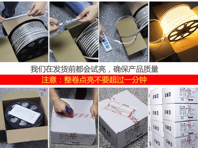 光子照明5050线性灯条5730 rgb柔性亮化贴片led 220v防水高压灯带详情91