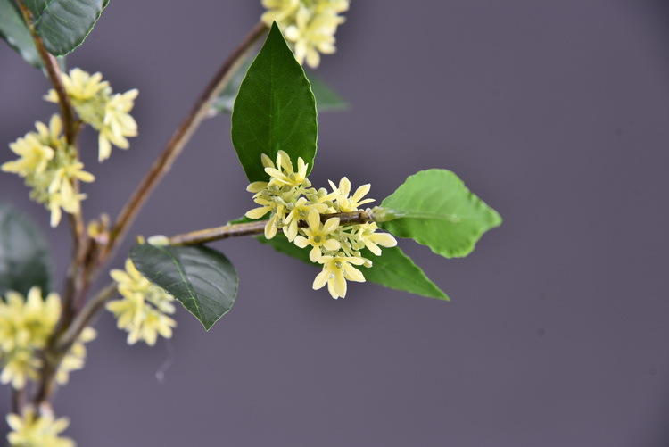 Wholesale artificial yellow osmanthus and laurel, green landscape garden artificial trees, decorative golden osmanthus leaves, home, hotel and homestay artificial flowers pic 27