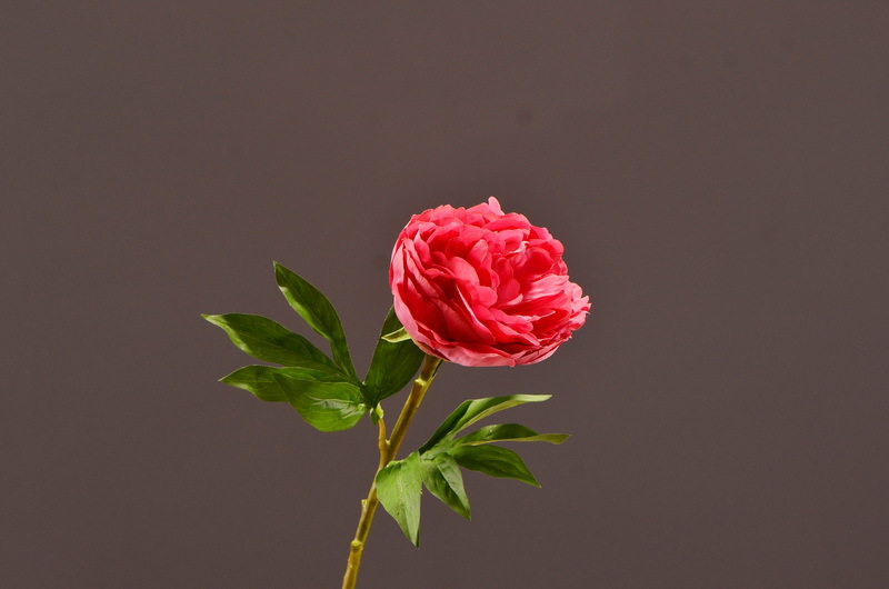 Wholesale of artificial large-branch peonies for home, hotel, restaurant soft decoration, artificial flowers and artificial paeonies from the manufacturer pic 16