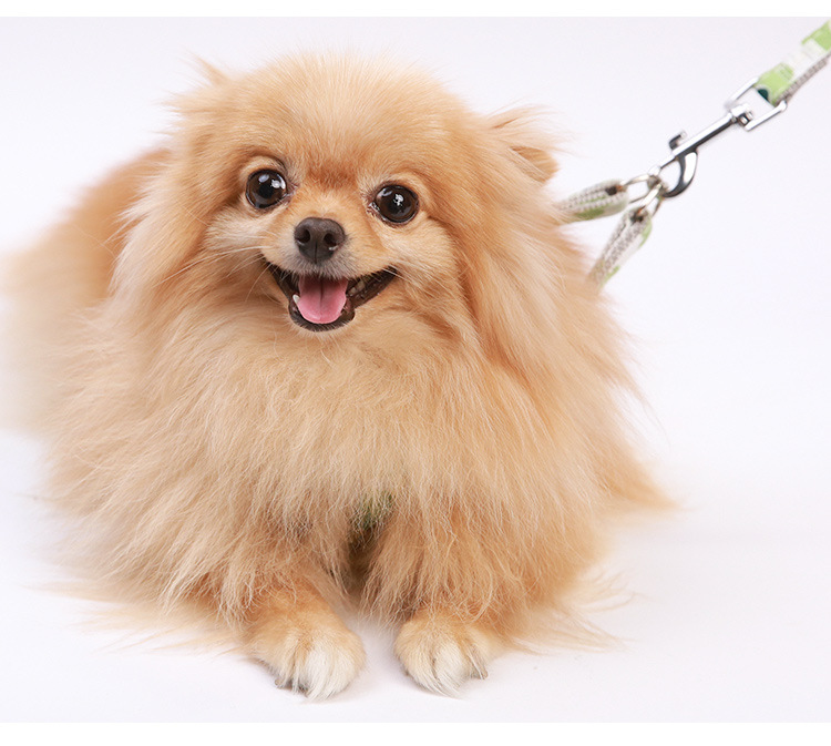 Pet supplies, pet supplies, pet dog leashes, fresh and clean printed dog walking leashes, dog leashes, adjustable dog leashes, dog carriers pic 13