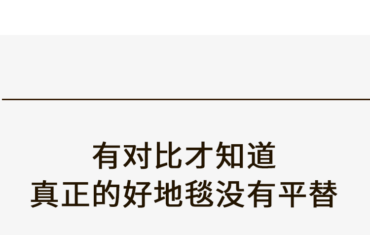 纯色地毯客厅新中式轻奢高级沙发茶几耐脏免洗卧室地垫大面积全铺详情15