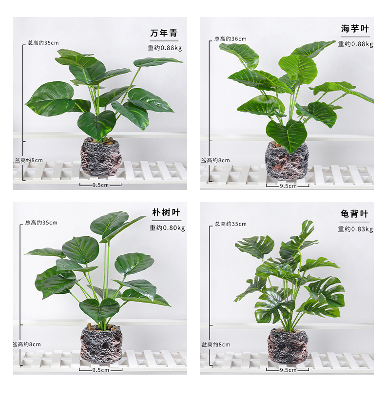 Nordic InS-style simulated pothos and turtle-back leaf potted plants, living room desktop simulated green plant potted plants, home decoration ornaments simulated potted plants pic 7