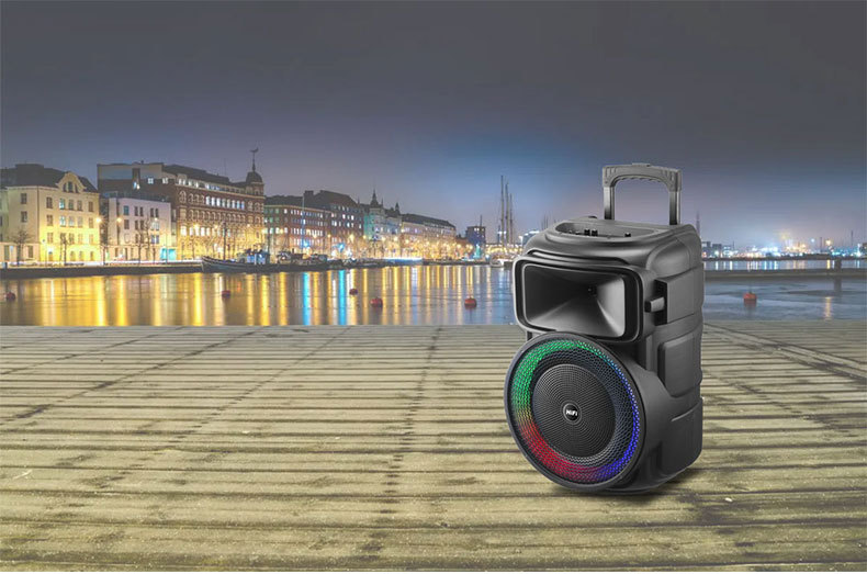 12-inch RX-1229 outdoor multi-functional high-volume Bluetooth speaker, portable high-power basket tooth audio system for stores pic 9