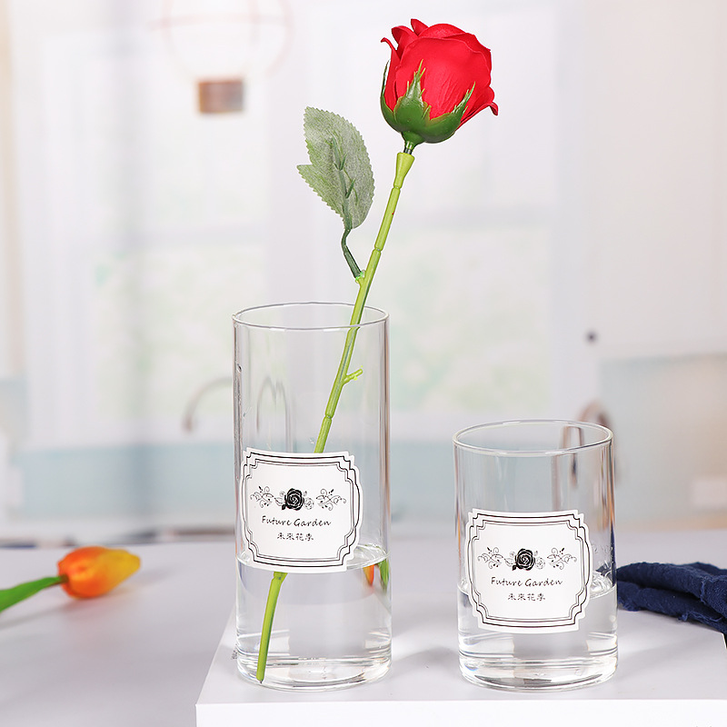 Nordic straight tube vase, simple transparent glass vase, home fresh flowers, hydroponic decoration, living room glass vase ornaments pic 6