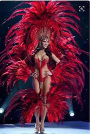 The feather fan is a special prop for the dance performance of the ostrich-colored feather fan used by the palace film crew pic 24